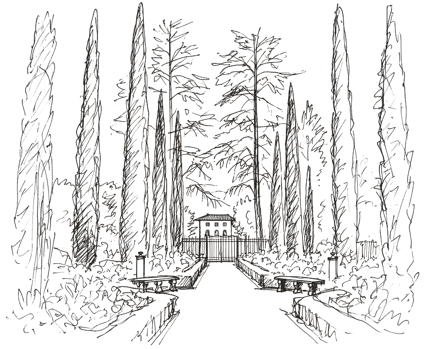 Pen sketch of the cypress-lined garden path leading to Villa Montalvo